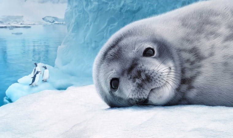 Tarihin en uzun salgını '15 milyon yıl' sürdü, varlığını hâlâ koruyor