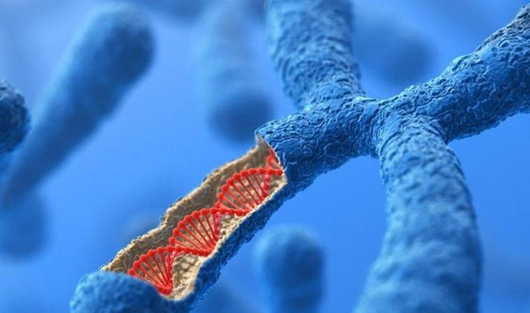 Tarihin en uzun salgını '15 milyon yıl' sürdü, varlığını hâlâ koruyor
