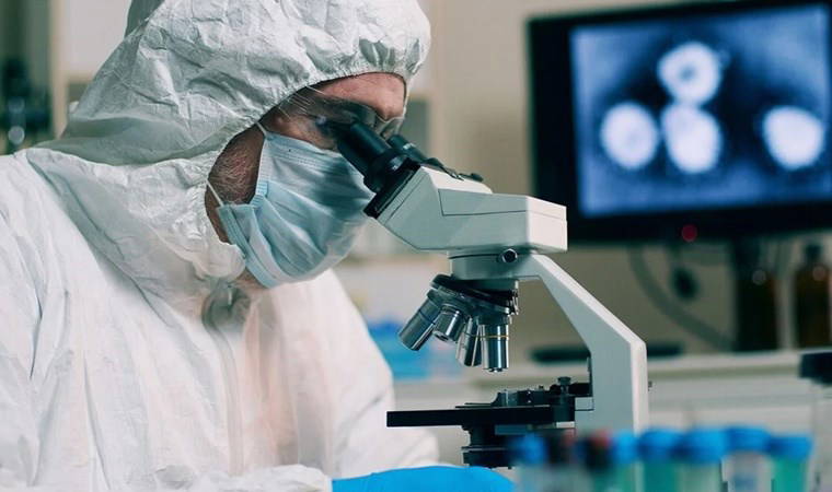 Tarihin en uzun salgını '15 milyon yıl' sürdü, varlığını hâlâ koruyor