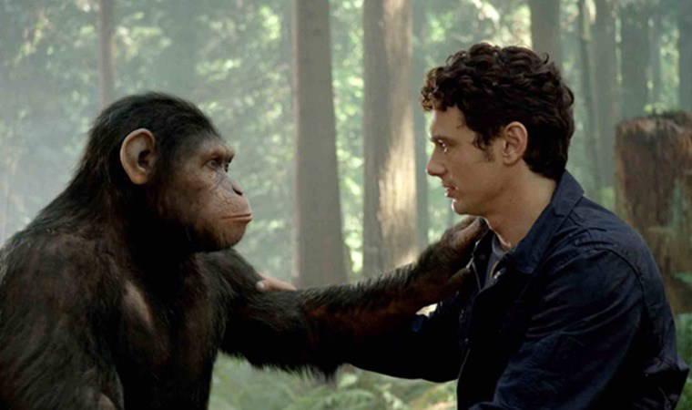 Tarihin en uzun salgını '15 milyon yıl' sürdü, varlığını hâlâ koruyor