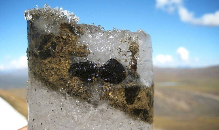 Tarihin en uzun salgını '15 milyon yıl' sürdü, varlığını hâlâ koruyor