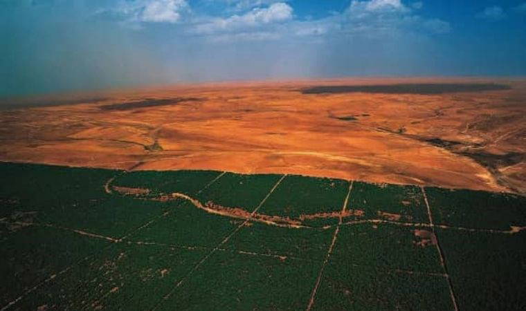 Dev çöle, dev proje: 36 milyar dolarlık ‘Yeşil Duvar’ inşa ediliyor!