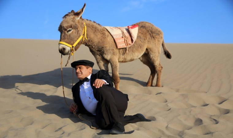 Antalya'da ilginç olay: 'Nesli tükenmesin' diye eşeklere nikah kıydılar!