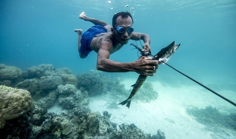 Bin yıldır dalan kabile 'mutant gen' geliştirdi