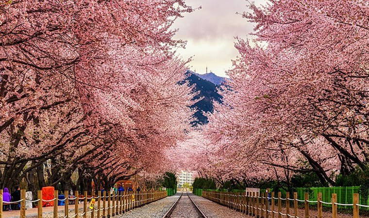 Türk Lirası’nın değerli olduğu ülkeler hangileri? İşte sıralı liste…