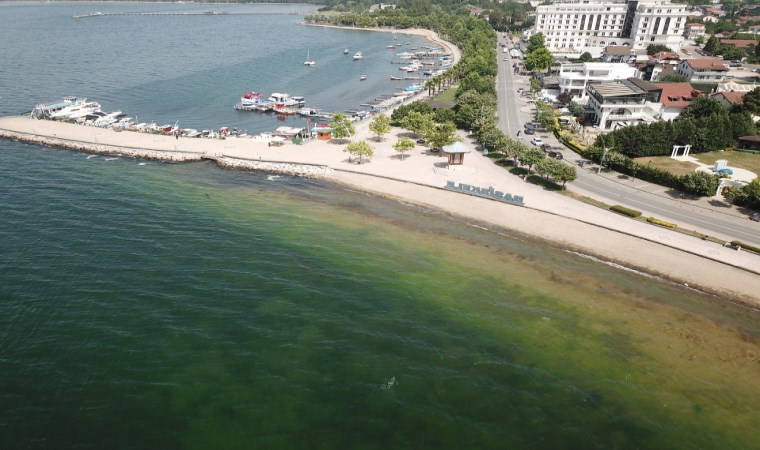 Müsilajdan şüpheleniliyordu... İzmit Körfezi'ndeki beyaz tabakanın nedeni belli oldu!