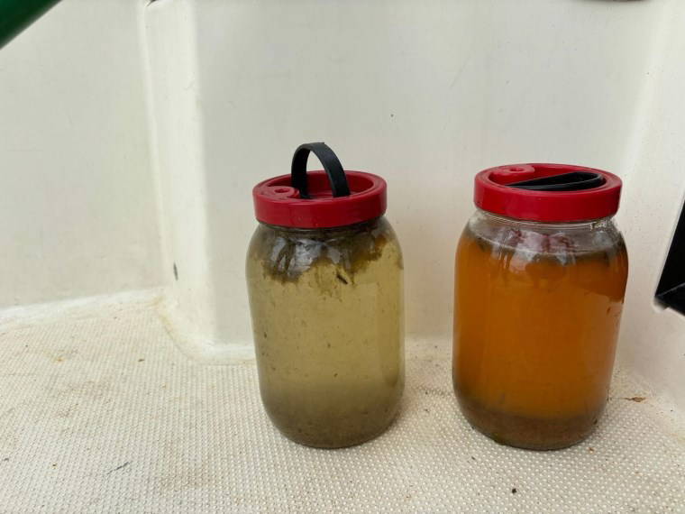 Müsilajdan şüpheleniliyordu... İzmit Körfezi'ndeki beyaz tabakanın nedeni belli oldu!