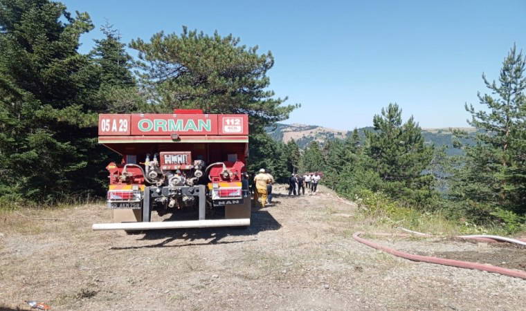 Samsun'da orman yangını!