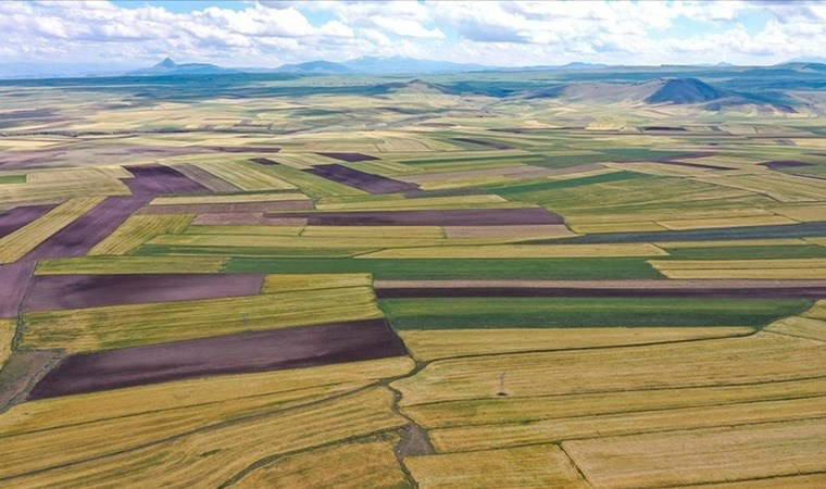 Konut hayal oldu, arsa talebi uçtu! İşte en çok tercih edilen bölgeler
