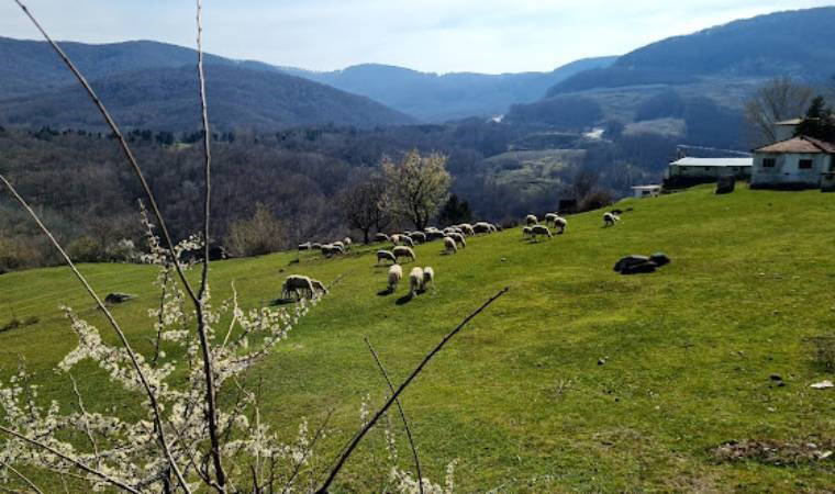 Kırklareli'nin ilçeleri! Kırklareli'nin kaç ilçesi var? Kırklareli'nin ilçe nüfusları kaç?  ilçe Kırklareli belediyeleri hangi partiden?