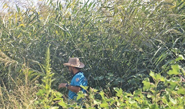 Diyarbakır 8 yaşındaki Narin’i 7 gündür arıyor: İhbar üzerine kepçeyle arama başlatıldı