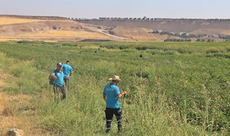 Diyarbakır 8 yaşındaki Narin’i 7 gündür arıyor: İhbar üzerine kepçeyle arama başlatıldı