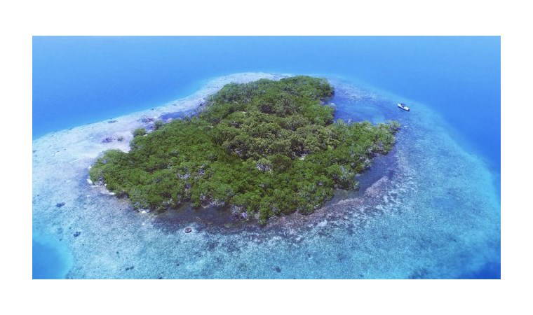 'Sahibinden satılık' adalar ve fiyatları!