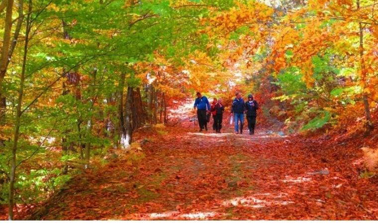 Türkiye'de sonbaharın tadını çıkarabileceğiniz en güzel 10 yer