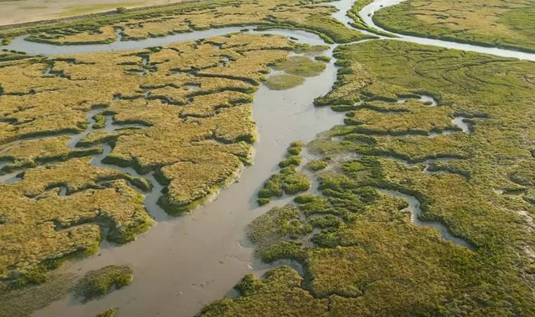 Ölüler adası: Kafatası ve kemik deryası!