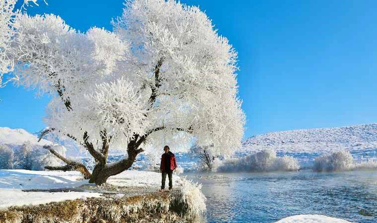 Ovacık’ta seyirlik kış manzaraları