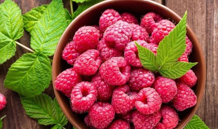 En yüksek lif içeriğine sahip 7 meyve: Bu besinler kan şekerini düzenliyor