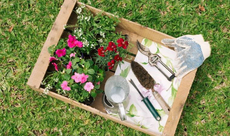 Sıradan hediyeleri unutturan, kalbe dokunan fikirler: Aşkın dilinden anlayan hediye fikirleri...