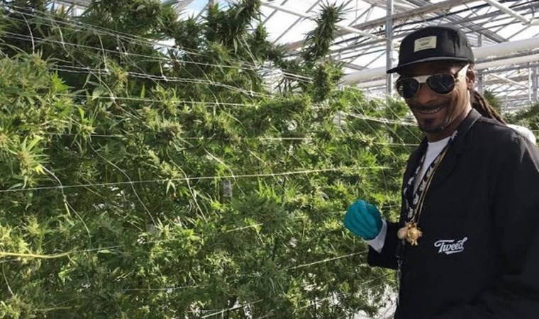 Bin Ladin'i öldüren asker 'esrar' ticaretine girdi!