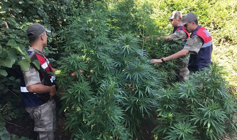 Bin Ladin'i öldüren asker 'esrar' ticaretine girdi!