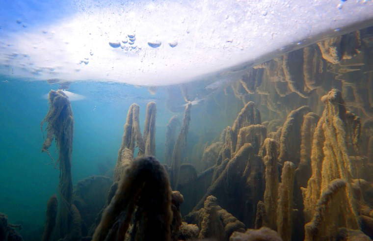 Van Gölü'nün derinliklerinde antik yapılar keşfedildi