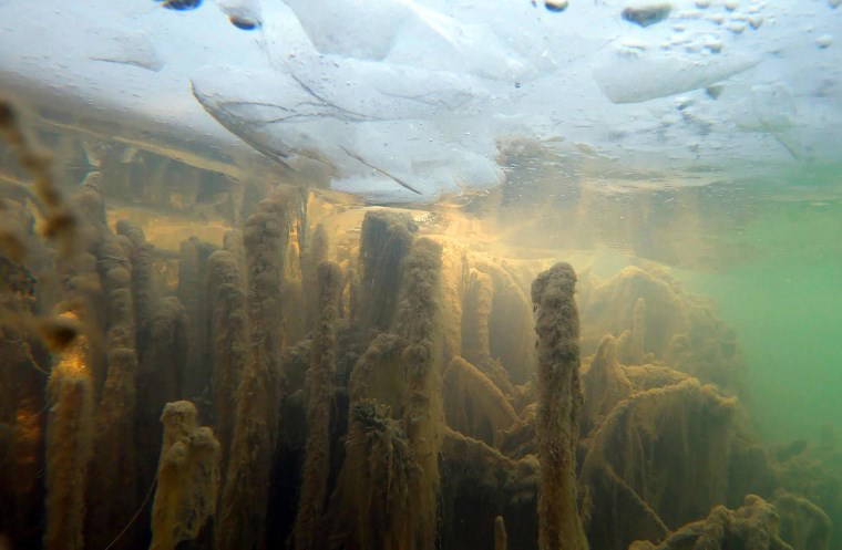 Van Gölü'nün derinliklerinde antik yapılar keşfedildi