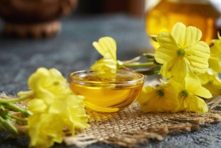 Bitkilerin şifasıyla vücudunuzu rahatlatın: Menopoz belirtilerini hafifleten 6 doğal çözüm