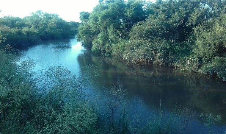 Doğanın kurallarına meydan okuyan 5 nehir ve göl: Bilim dünyası bu akarsuların sırrını araştırıyor