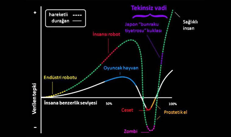 Evcil Hayvanlarının İnsan Hallerini Gören Kullanıcılar Fikir Ayrılığına Düştü