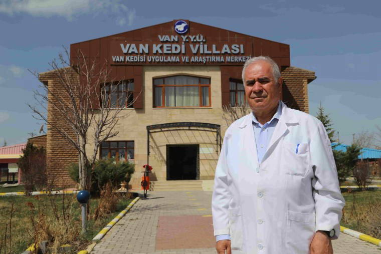 Van Kedi Villası’nda 2025'in ilk yavruları dünyaya geldi