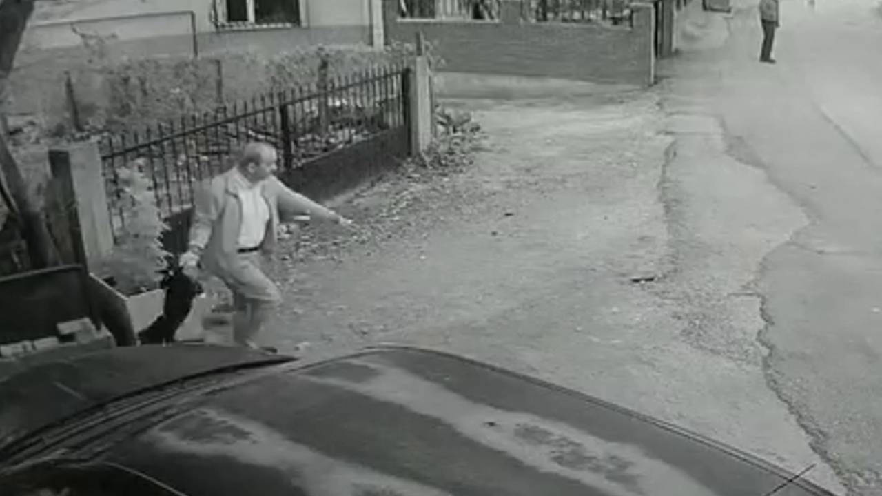 Yavru köpeği kuyruğundan tutup yere fırlatan cani serbest bırakıldı!