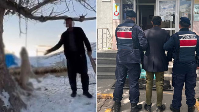 Köpeğini 'çok yiyor' diyerek ağaca asarak katletti! 