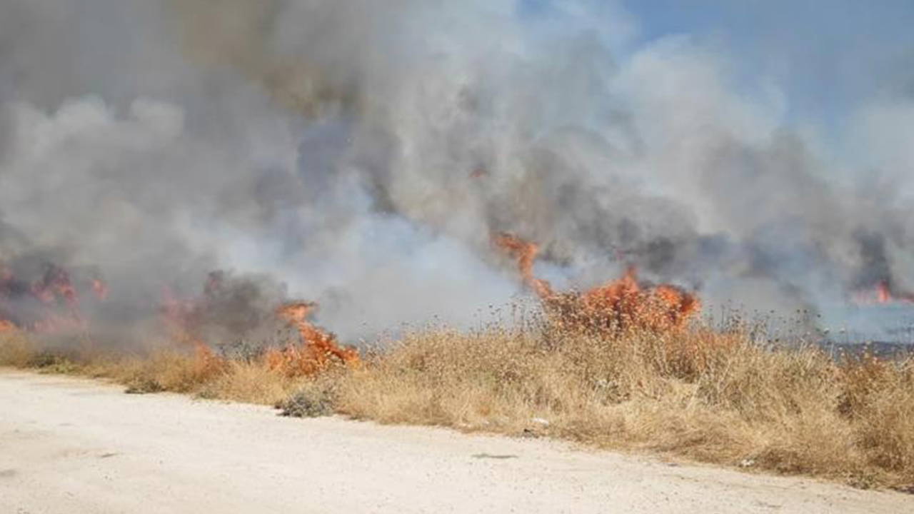 Mardin Nusaybin'de anız yangını: Ekipler müdahale etti