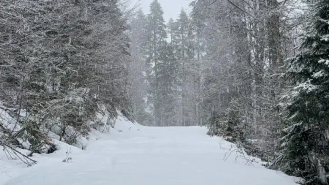 Türkiye’nin en yüksek kar kalınlığı Düzce’de ölçüldü