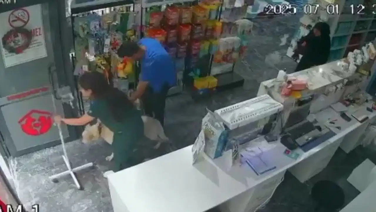 Bursa'da deprem sırasında tedavi gören köpeği içeride bırakmadı!