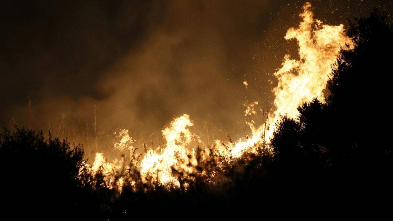 Türkiye'nin ciğerleri yanıyor: Orman yangınları neden söndürülemiyor?