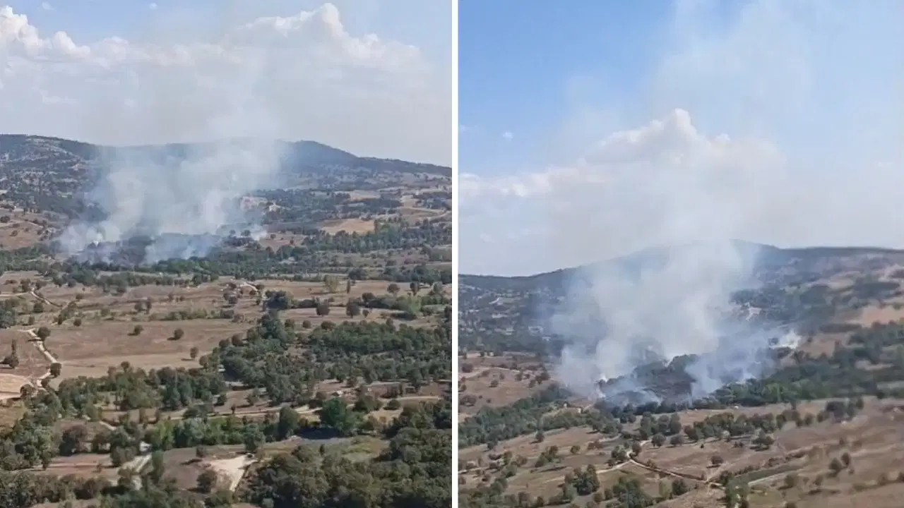 Bursa'da orman yangını: Alevlere havadan ve karadan müdahale ediliyor