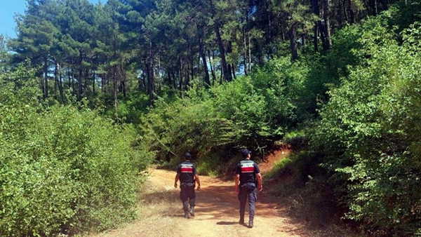 Muğla'da ormanlara giriş yasağı