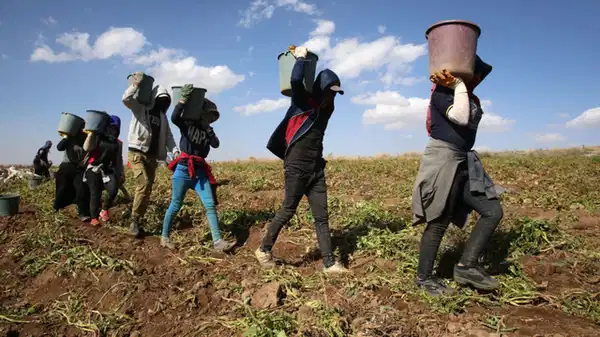 Eğitimde plansızlığın geldiği son aşama!