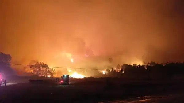 Ordu'da çıkan yangın ormanlık alana sıçradı
