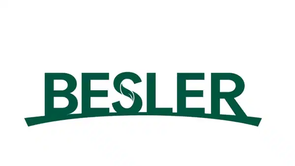 Türkiye'nin en değerli markaları belli oldu: Listeye ilk kez giren isimler şaşırttı