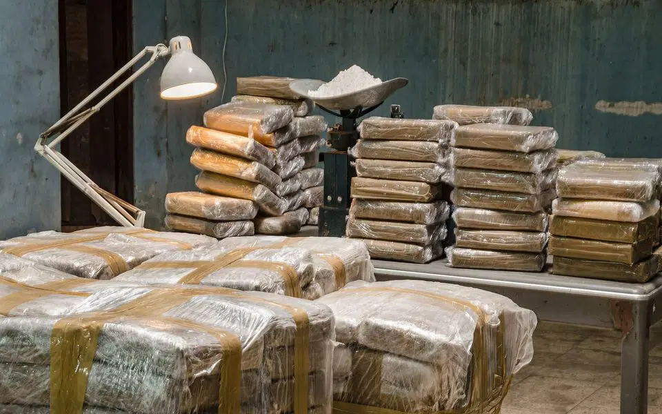 Dev kokain hattı deşifre edildi