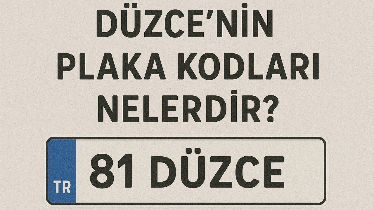 Düzce'nin plaka kodu ne? Düzce'nin plaka numarası kaç? Düzce ve ilçelerinin plaka harfleri...