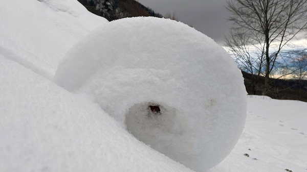 Doğanın nadir mucizesi Amasya'da ortaya çıktı: Kar ruloları görenleri büyüledi!