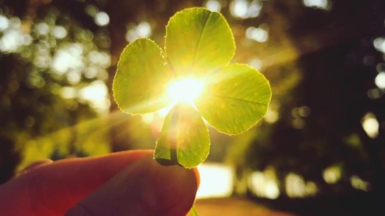 2025 yılını en iyi geçiren 4 burç: Şans, fırsat, mutluluk bu burçların bu sene yüzü güldü