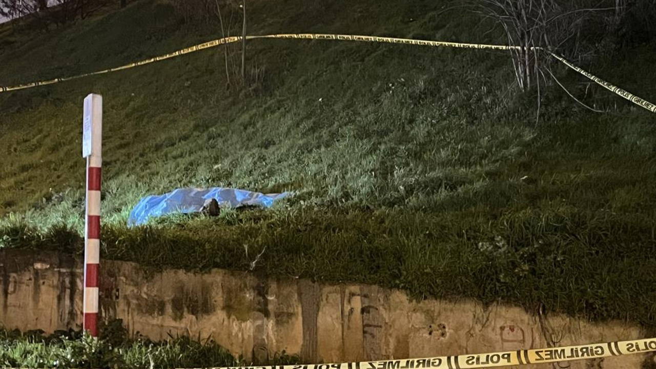 Otoyol kenarında erkek cesedi bulundu: En az 10 gün önce öldüğü tespit edildi