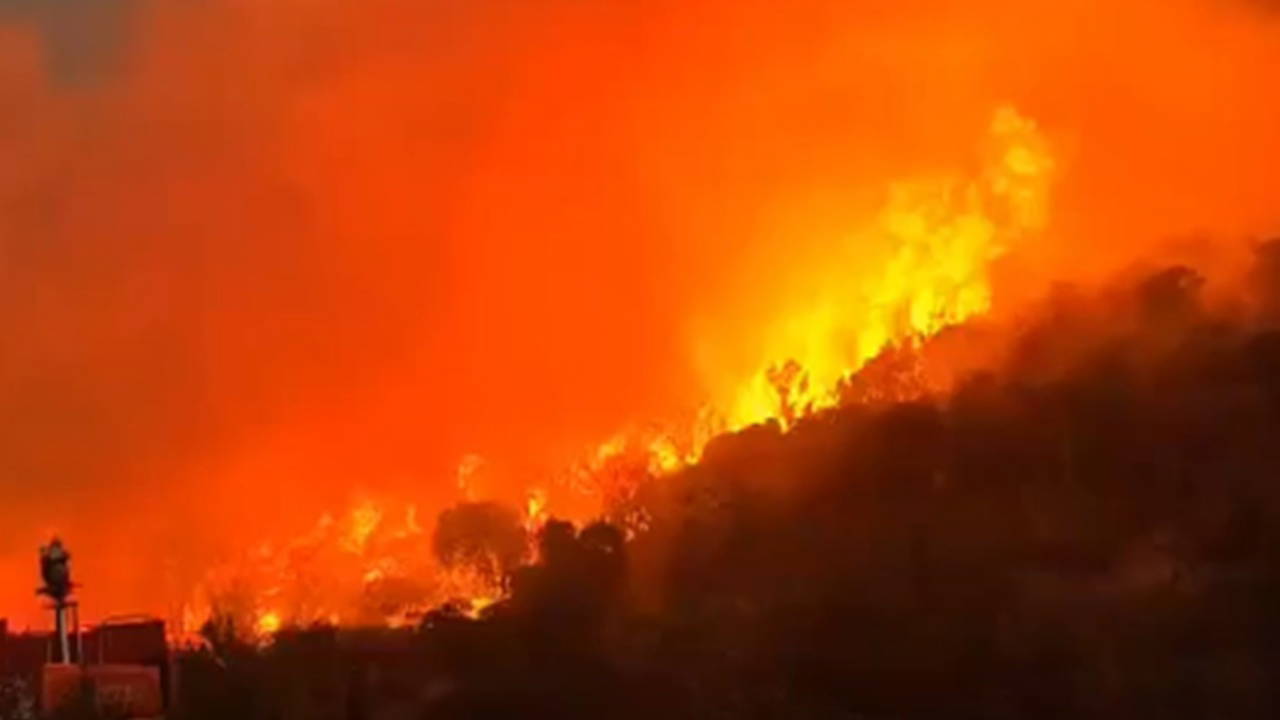 Balıkesir'de orman yangını: Müdahale ediliyor