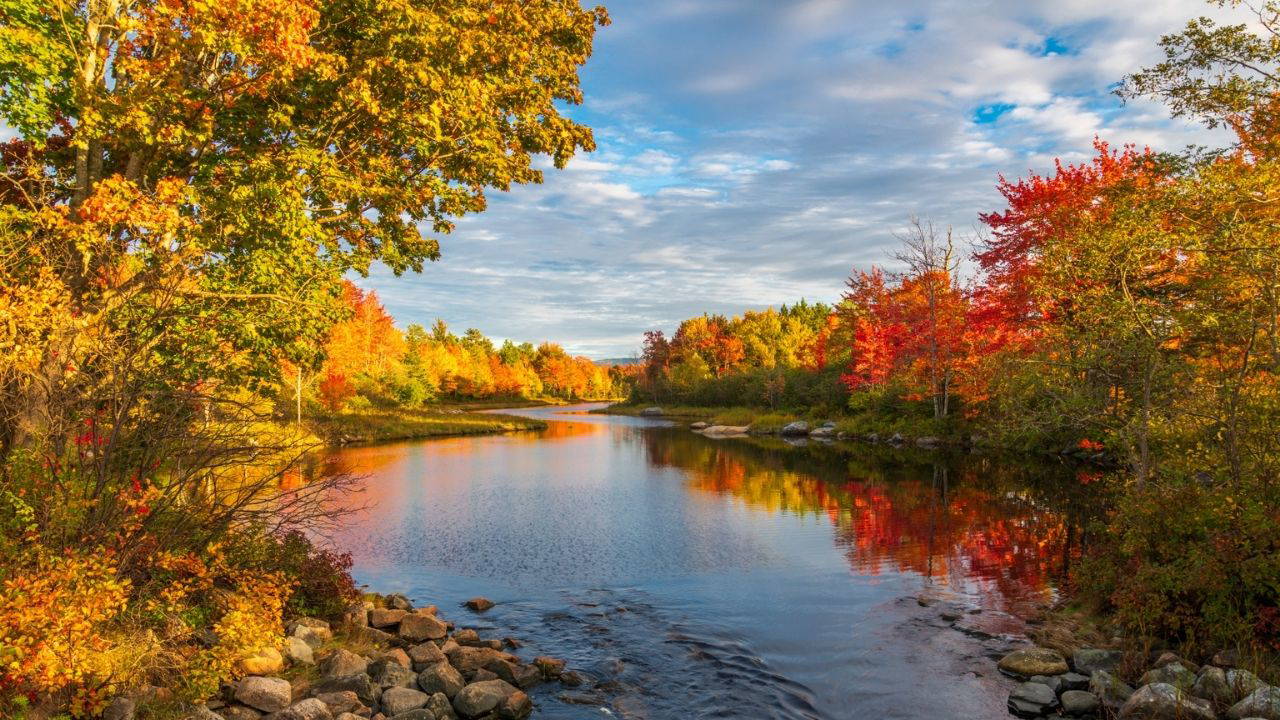 Sonbaharın büyüsünü keşfedin: Renk cümbüşüyle dolu en keyifli 6 sonbahar rotası
