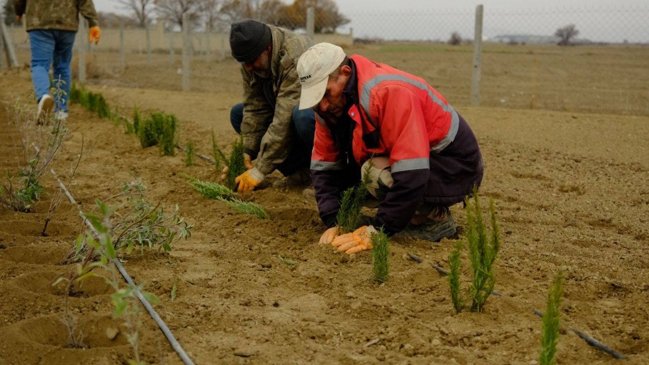 Akşehir Belediyesi’nden kırsala tarımsal destek