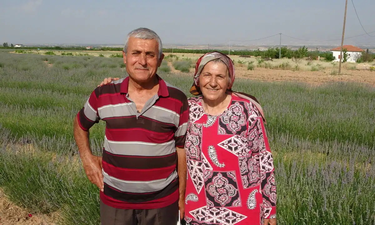 İnternetten gördüler, üreticisi oldular: Üçüncü hasat başladı...